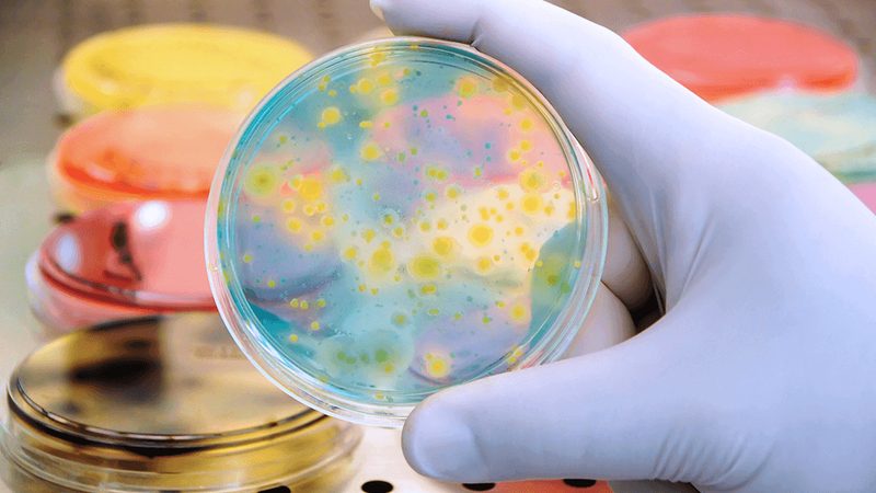 生物制品分类解析：揭秘各类产品的特性和应用