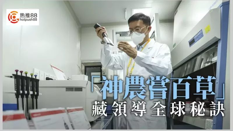 细胞工厂报价单，如何解读背后的技术实力？**