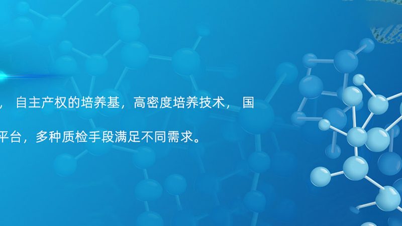 抗体药物临床试验批件申请：流程解析与关键要点