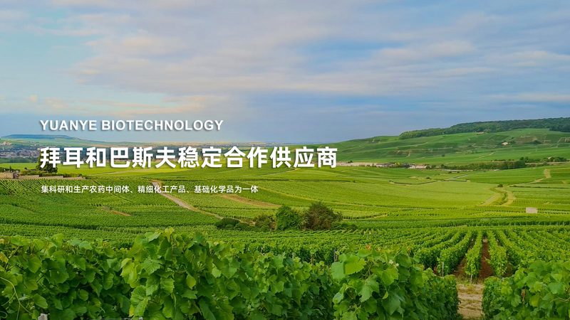 生态农业与传统农业：一场农业革命的对决