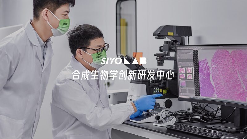 引物合成：确保PCR实验精准的基石