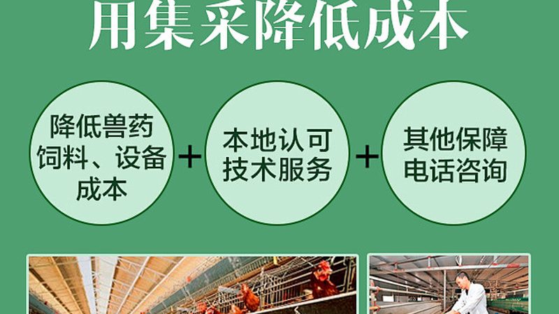 离心管，实验室中的“得力助手”**