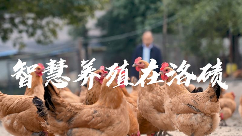 无血清培养基：价格之外，你还需要了解这些**