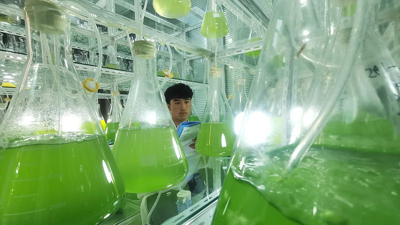 离心管生产厂家哪家靠谱